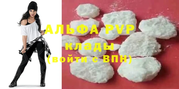 стафф Алексин