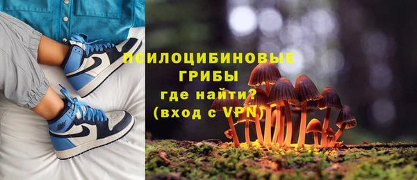 стафф Алексин