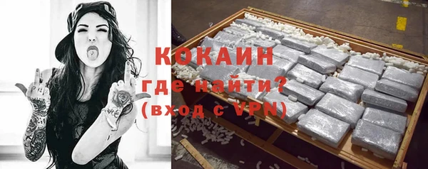 стафф Алексин