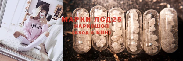 стафф Алексин