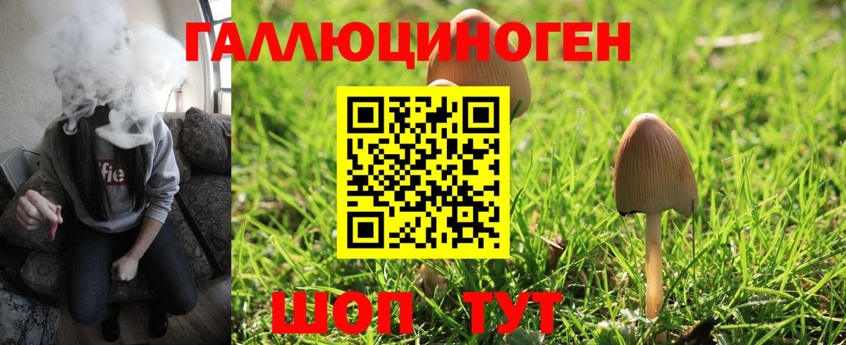 Галлюциногенные грибы прущие грибы  Вход с VPN  Сорочинск 